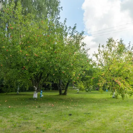 Cisarsky בית נופש *